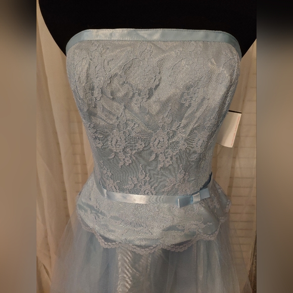 NWT Baby Blue Strapless Tulle Princess Ball Gown Wedding Prom Gala Opera - Picture 7 of 11